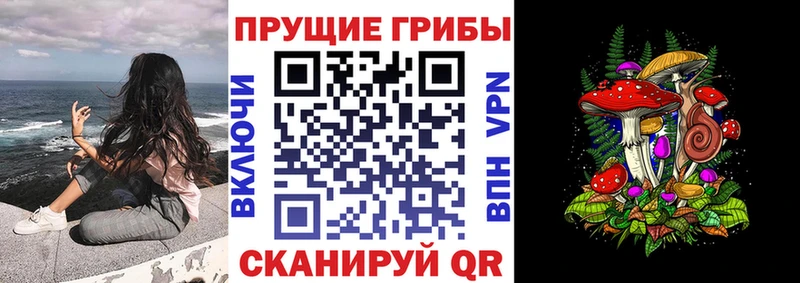 Псилоцибиновые грибы Psilocybe  Новодвинск 